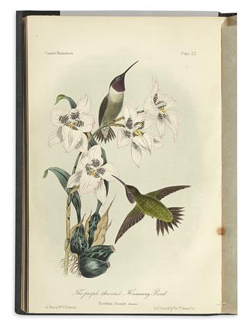 (BIRDS.) Cassin, John. Illustrations of the Birds of California, Texas, Oregon, British and Russian America.